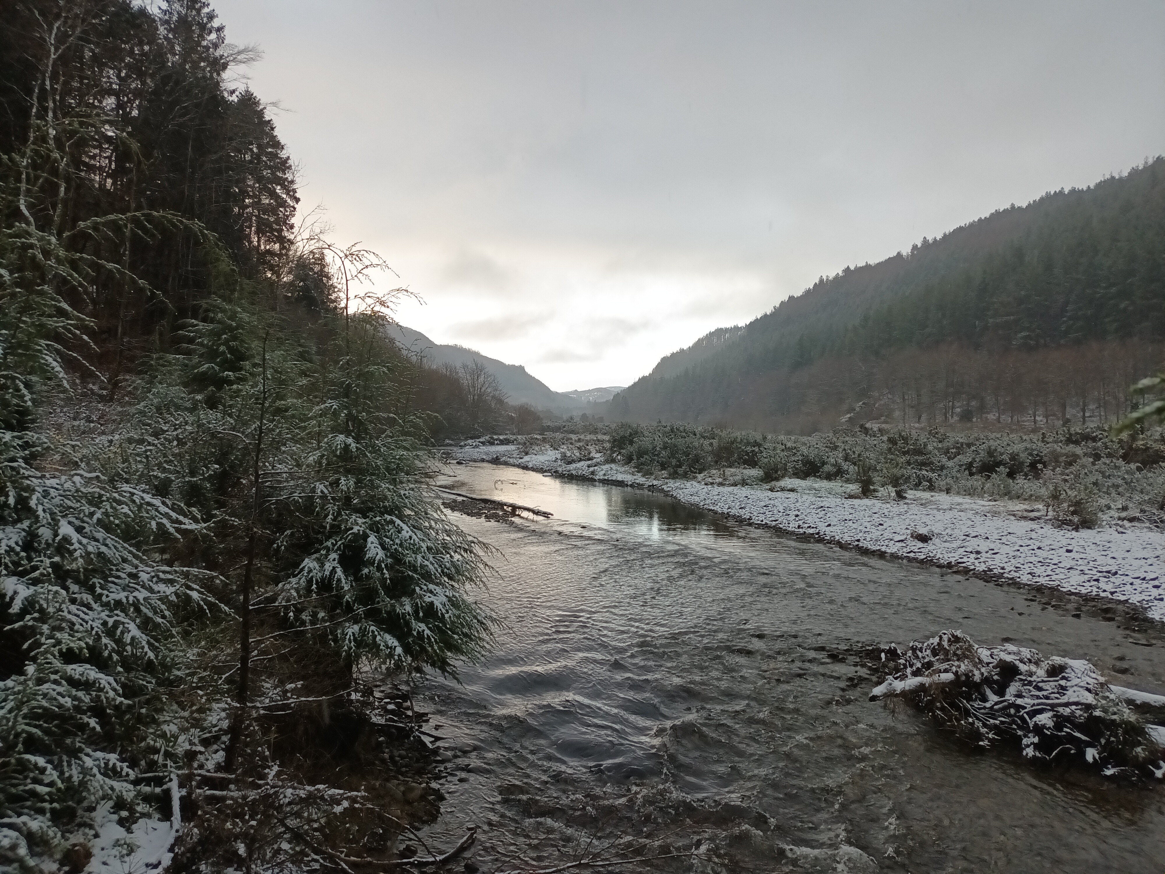 Summer view up the Ystwyth Valley from the shepherd hut doorway