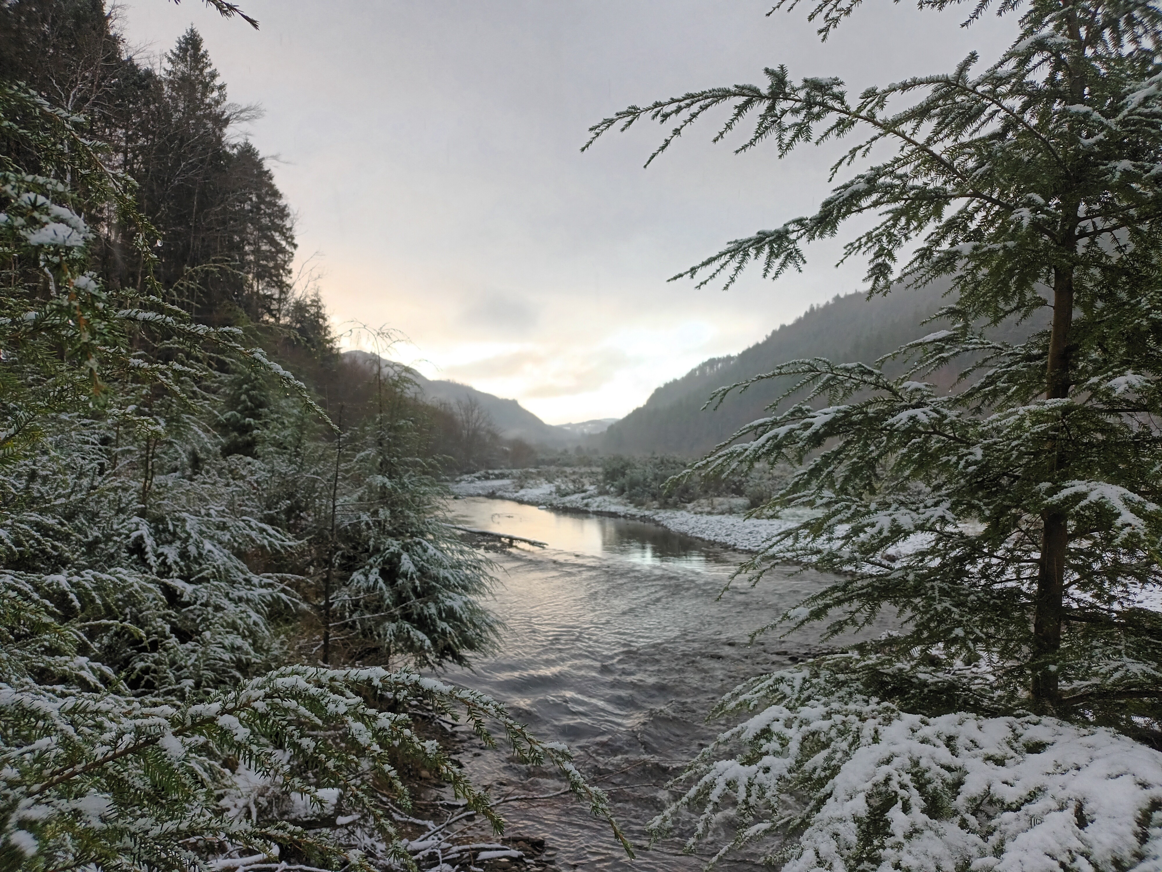Autumn colours in the valley from the ridge